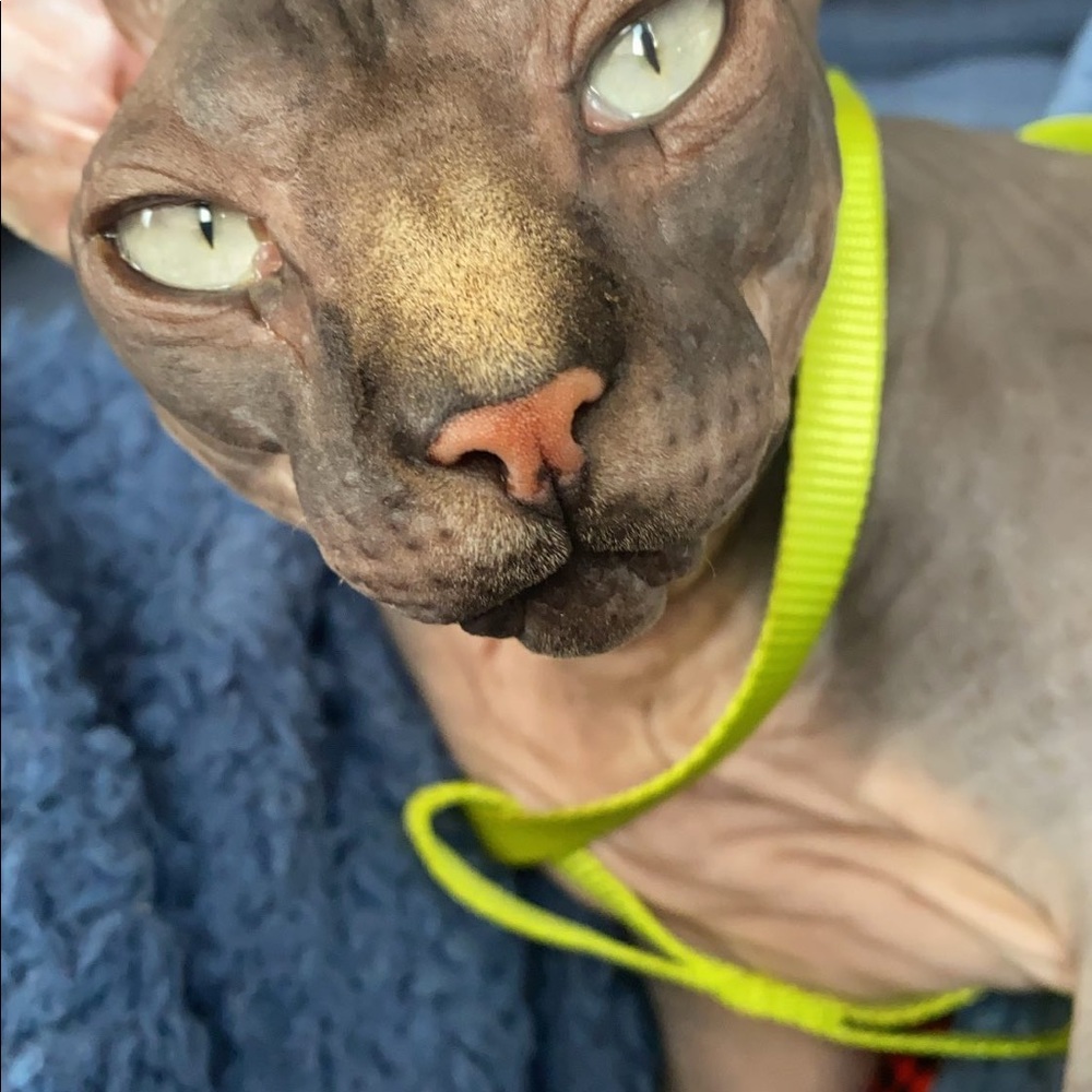 Meet your Posher, Alejandro